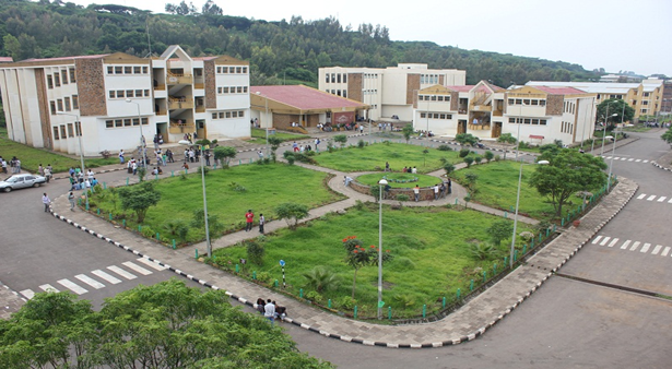Home - College of Natural and Computational Science